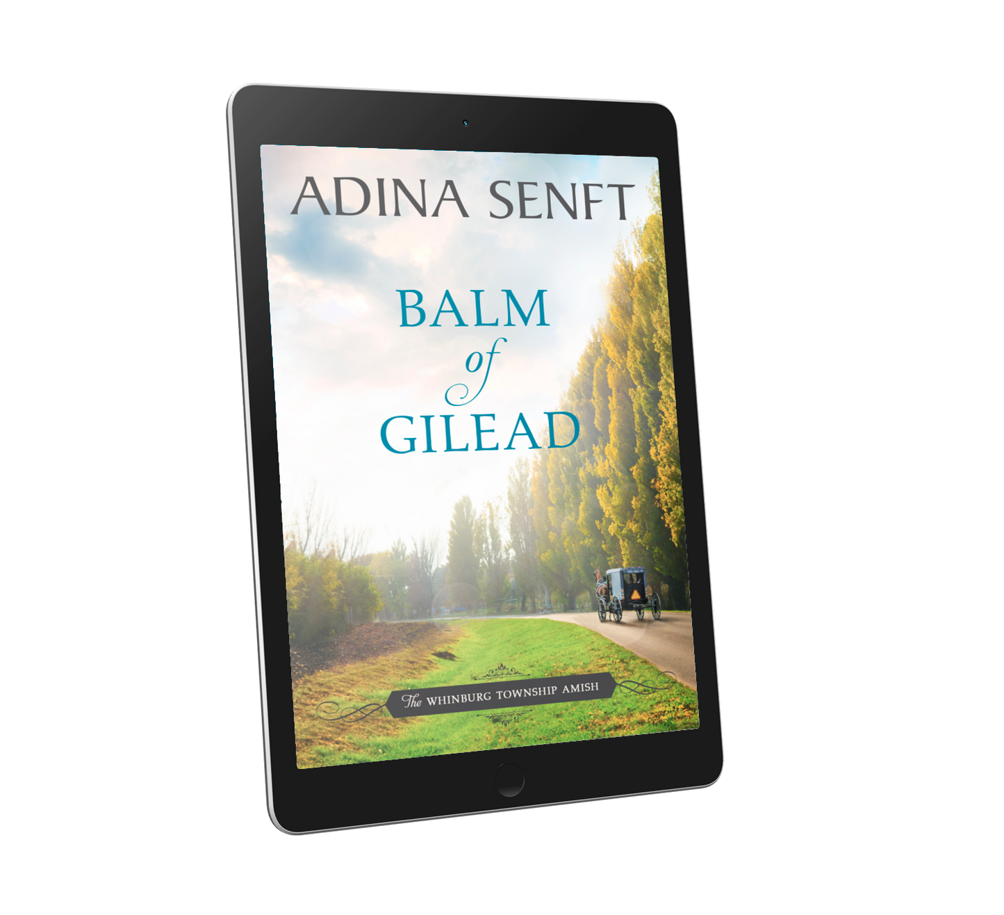 Balm of Gilead by Adina Senft, book 6 in The Whinburg Township Amish series