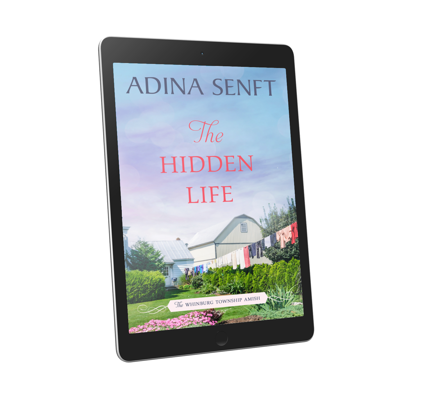 The Hidden Life by Adina Senft, book 2 of The Whinburg Township Amish series