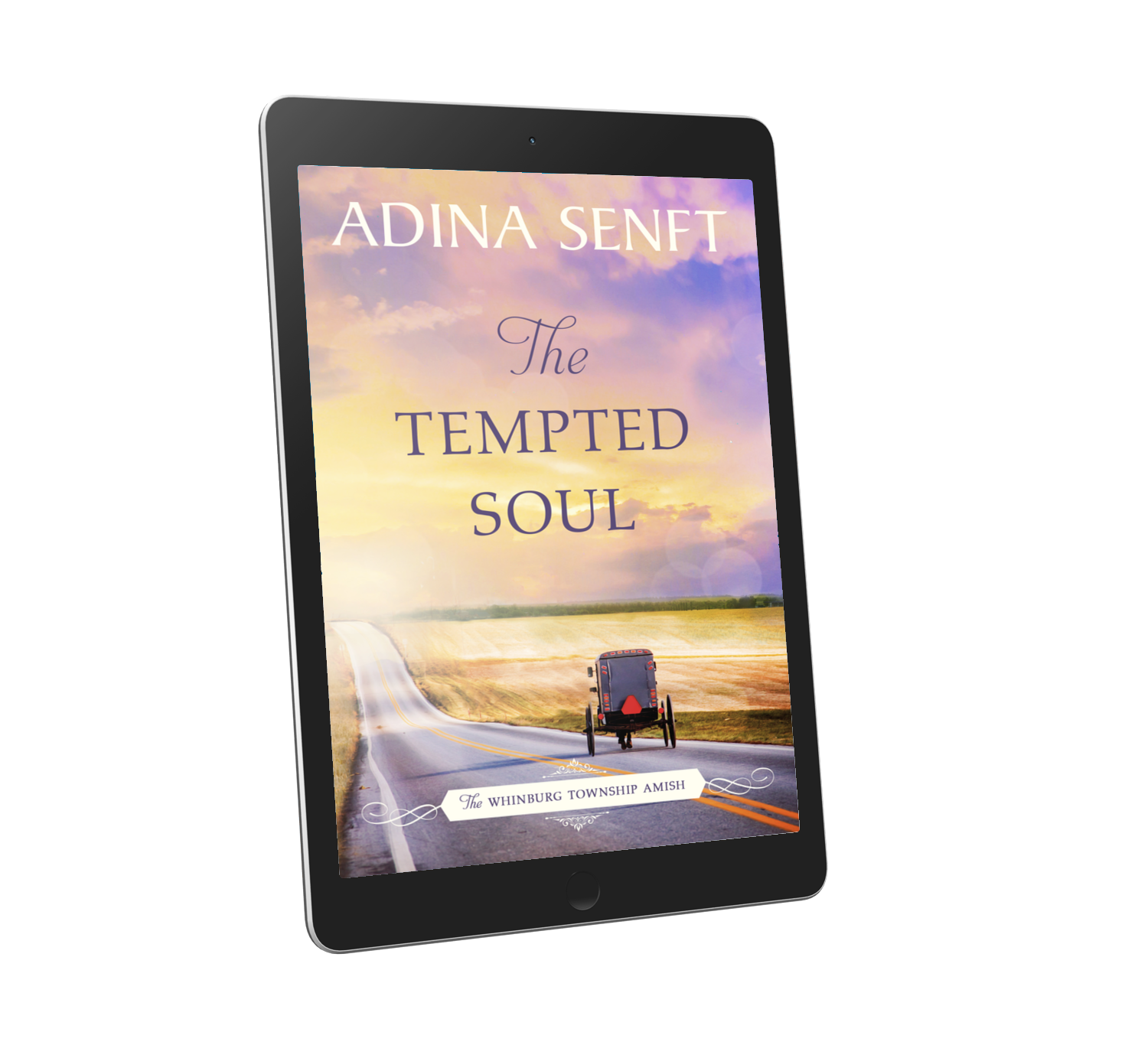 The Tempted Soul by Adina Senft, book 3 of The Whinburg Township Amish series