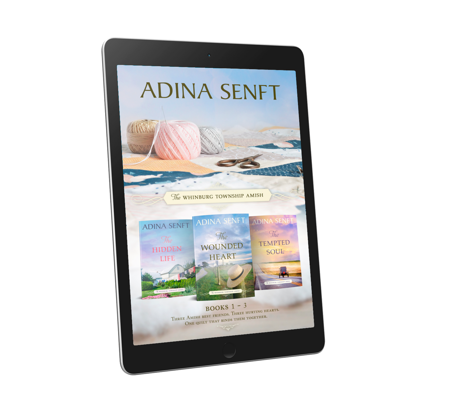 The Whinburg Township Amish Books 1-3 box set by Adina Senft