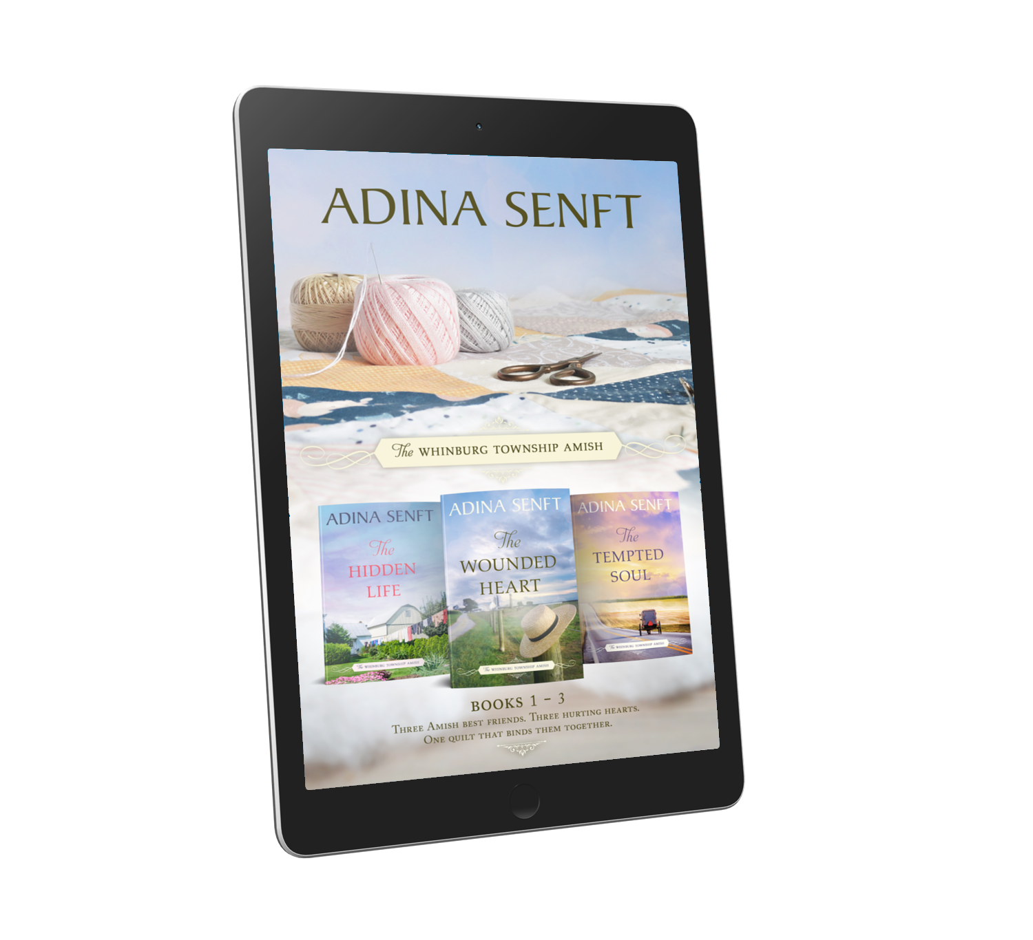 The Whinburg Township Amish Books 1-3 box set by Adina Senft