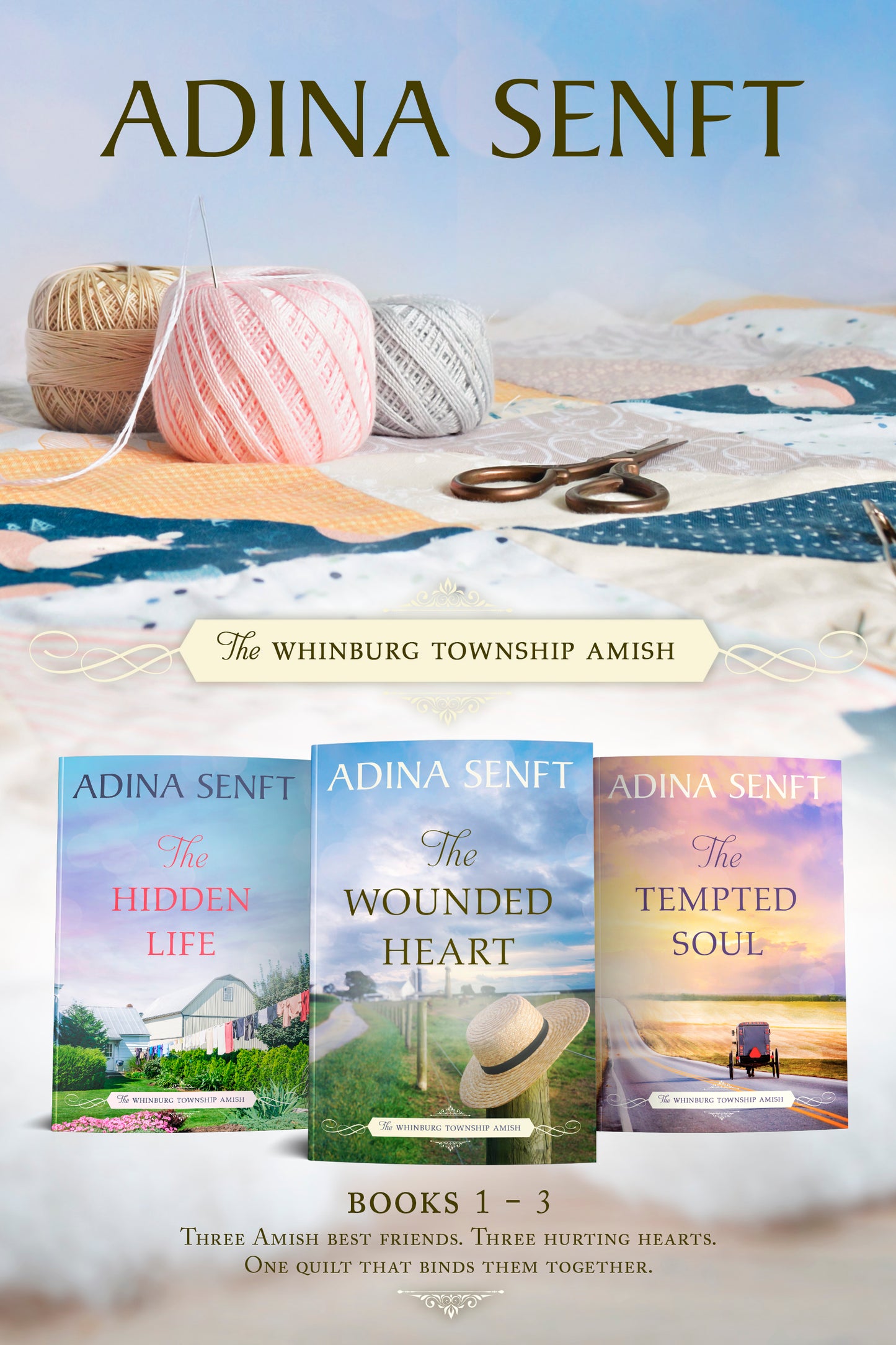 The Whinburg Township Amish Boox 1-3 box set by Adina Senft
