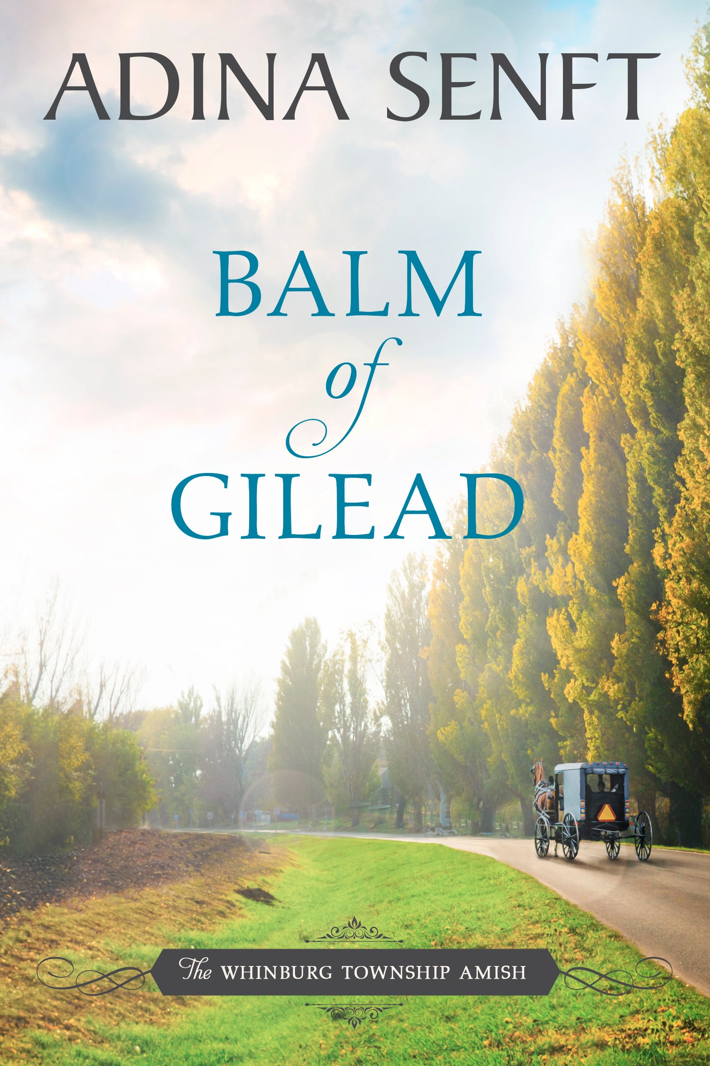 Balm of Gilead by Adina Senft, a Whinburg Township Amish women's fiction romance novel